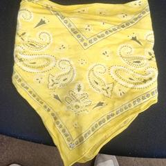 Šátek Geel, jak nahlášeno Burgers' Zoo pomocí iLost