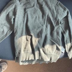 كنزة صوفية Groen، كما تم الإبلاغ عنه بواسطة Burgers' Zoo عبر iLost