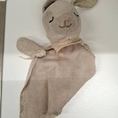 Manteta Gris, segons ha informat IKEA Caen Fleury-sur-Orne mitjançant iLost