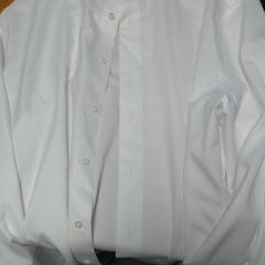 Blusa no room number, segundo informou Carlton Beach Hotel usando iLost