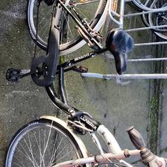Emakumeen bizikleta Hollandia, gisa salatu by Stadswerk072 iLost erabiliz