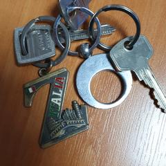 Sleutelbos, come riportato da Connexxion Zeeland utilizzando iLost