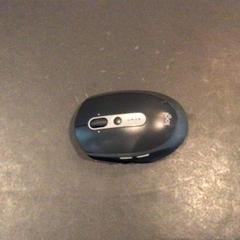 Ratolí, segons ha informat Van der Valk Hotel Amsterdam Zuidas mitjançant iLost