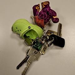 Schlüssel, gemeldet von Vrije Universiteit Amsterdam über iLost