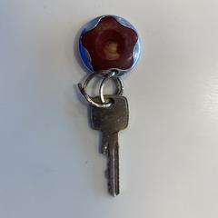Sleutel met aanhanger, ha sido reportado a iLost