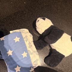 Plyšová hračka, ako bolo nahlásené Hotel Van der Valk Harderwijk op de Veluwe pomocou iLost