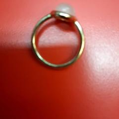 Ring, zoals gemeld door UvA REC met iLost