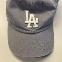 İLost kullanarak Burgers' Zoo tarafından bildirildiği gibi Pet grijs