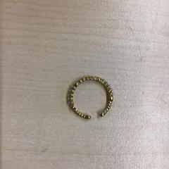 Prsten, jak nahlášeno Gemeente Nijmegen pomocí iLost