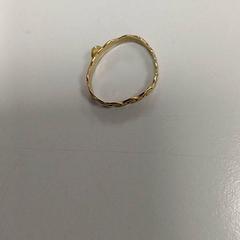 반지, iLost를 사용하여 Padualaan 101에 보고됨