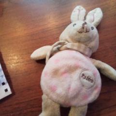 Knuffel rabbit, ako bolo nahlásené iLost