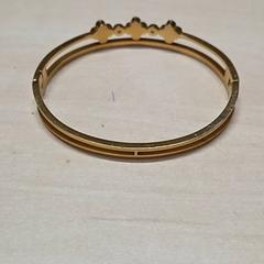 Armband, zoals gemeld door Arriva Oost-Brabant met iLost