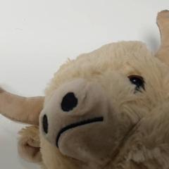 Various - knuffel, as reported by Centraal magazijn using iLost