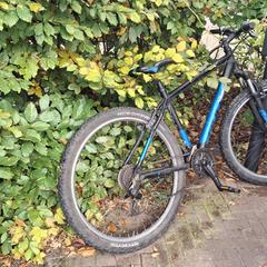 Fiets, iLost-i jakinarazi zaion moduan