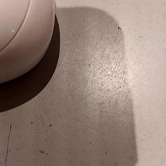 Füldugók, amint azt De Efteling az iLost segítségével jelentette.