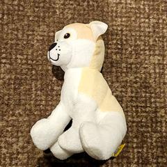 Knuffel, como reportado por Van der Valk Hotel Apeldoorn - De Cantharel utilizando o iLost