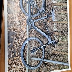 Herenfiets, zoals gemeld door Gemeente Roermond met iLost