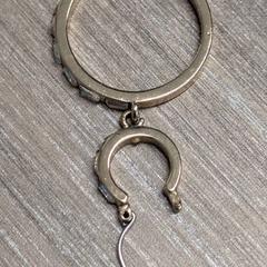 Orecchino, come riportato da Pathé Helmond utilizzando iLost