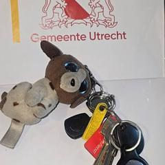 장난감, iLost를 사용하여 Gemeente Utrecht에 보고됨