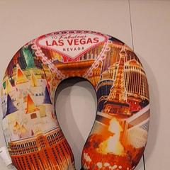 Nekkussen Las vegas, zoals gemeld door Van der Valk Hotel Schiphol met iLost