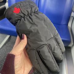 Handschoenen, som rapporterats till iLost