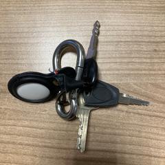 Sleutelbos Airtag, som rapportert av Pathé Zwolle ved bruk av iLost