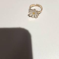 指輪 がiLostで Bibliotheek Neude (Utrecht) によって報告されました