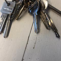 Sleutelbos, gisa salatu by GVB iLost erabiliz