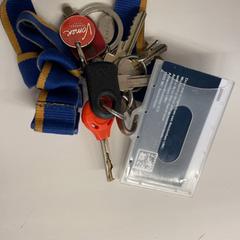 Clés, a été signalé par Het Amsterdamse Winterterras utilisant iLost