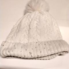 비니, iLost를 사용하여 Gemeente Puurs-Sint-Amands에 보고됨