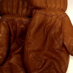 Guanti, come riportato da U-OV Amersfoort utilizzando iLost