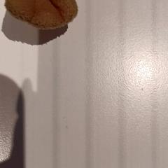 Plyšová hračka, ako bolo nahlásené De Efteling pomocou iLost