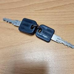 Sleutelhoes met sleutels, zoals gemeld door Gemeente Roermond met iLost