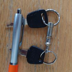 Twee sleutels aan hanger, as reported to iLost