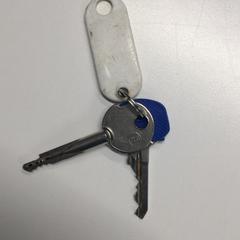 İLost kullanarak Gemeente Haarlem tarafından bildirildiği gibi Anahtarlar