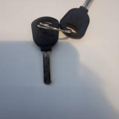 Clau de bicicleta, segons ha informat IJsselland Ziekenhuis mitjançant iLost