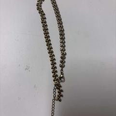 Halsband, rapporterat av IKEA Hengelo med iLost