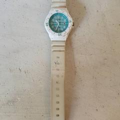 손목시계 Wit, iLost를 사용하여 DierenPark Amersfoort에 보고됨