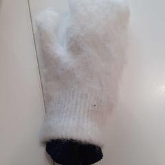 Gloves 1x, as reported by Regio Limburg - Leuven using iLost