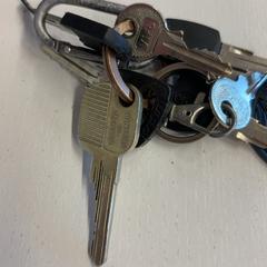 İLost kullanarak GVB tarafından bildirildiği gibi Anahtar