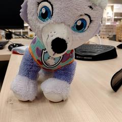 Peluix Everest Pat Patrouille, segons ha informat IKEA Bayonne Ametzondo mitjançant iLost