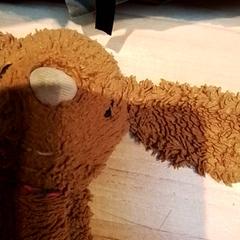 Knuffel & Kleed, zoals gemeld door Beekse Bergen Resorts en Hotel met iLost