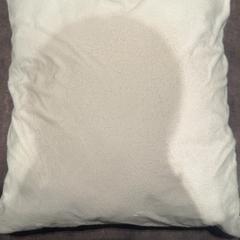 Coixí, segons ha informat Van der Valk Hotel Haarlem mitjançant iLost