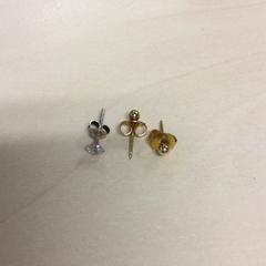 ピアス がiLostで Haaglanden Medisch Centrum によって報告されました