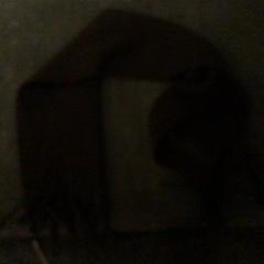 숄 Bruin, iLost를 사용하여 De Heeren van Aemstel에 보고됨