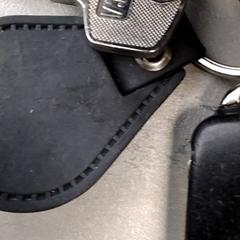 سلسلة المفاتيح Zwart، كما تم الإبلاغ عنه بواسطة Arriva Friesland / Groningen عبر iLost