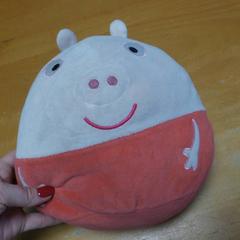 Mascotte, segons ha informat Carlton Beach Hotel mitjançant iLost