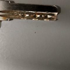 Schlüssel, gemeldet von Regio Antwerpen - Brussel über iLost