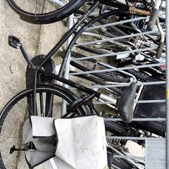 Bicicleta femenina Bsp, segons ha informat Stadswerk072 mitjançant iLost