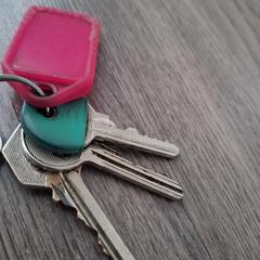 Sleutelbos an iLost gemeldet